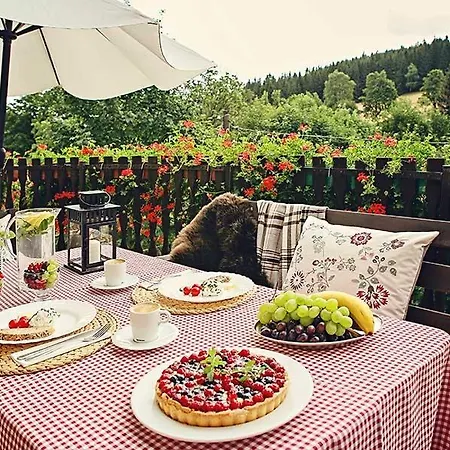 Vakantiehuis Gorski Czarna Gora Przy Wyciagach Stronie Śląskie